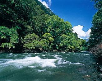 《失落之魂》官方公布今后改进计划：音效、手柄、优化