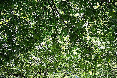 横版动作游戏《Helvetii》将于2023＆2＆3推出